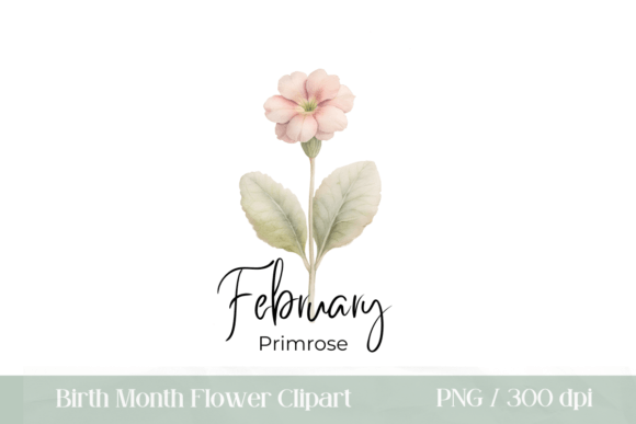 Download Birth Month Flower February Primrose - Month Collection