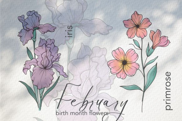 Download February Birth Month Flowers - Month Collection